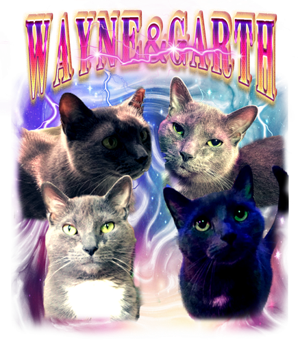 wayne&garth.png