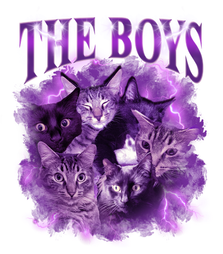 THE BOYS.png