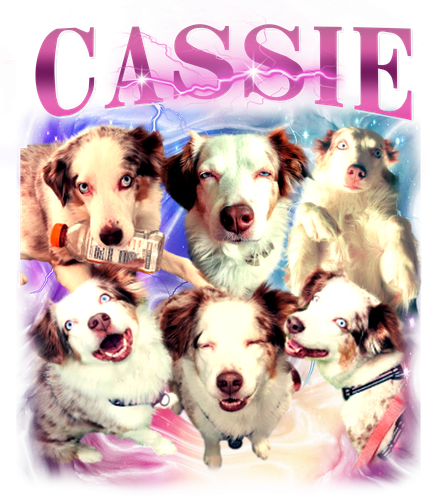 cassie.png