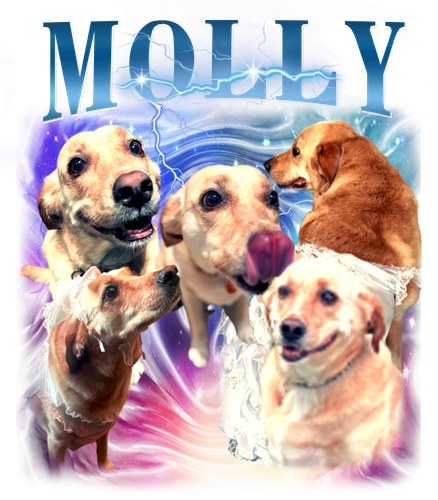 molly.png