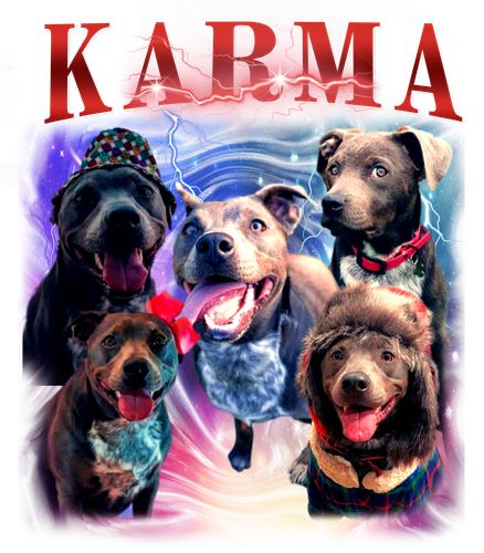 karma.png