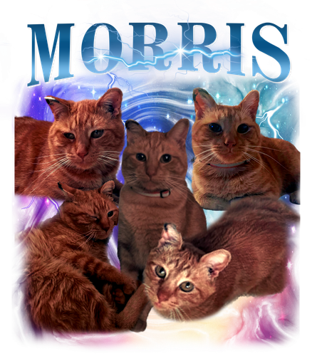 morris.png