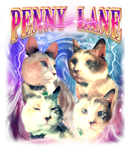 penny lane.png