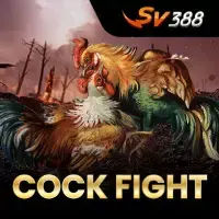CockFight.webp