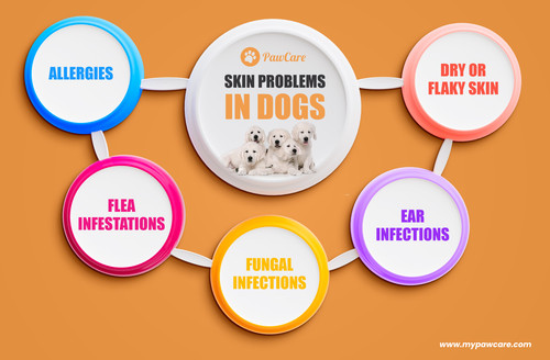 5 steps creative business infographics design template.jpg