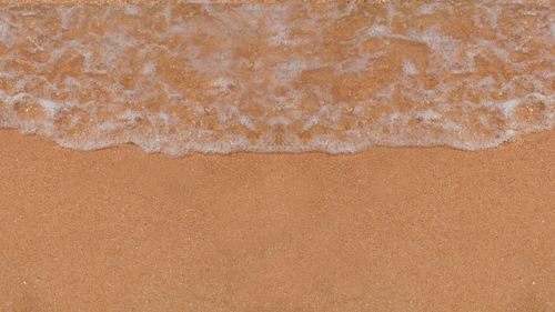 Copy of Header.png