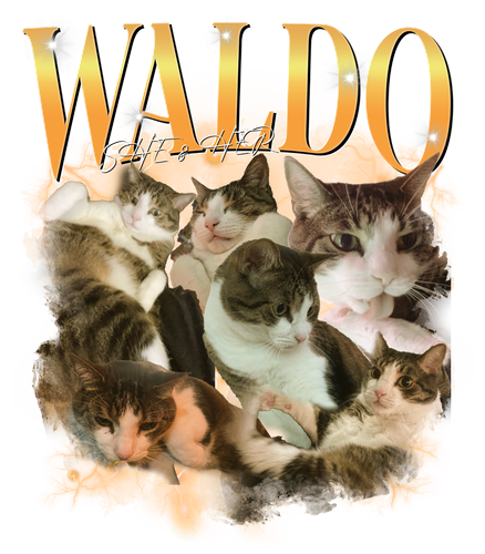 waldo.png