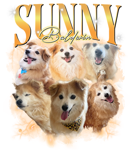 3133928480.png