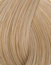 Teinture 10.0.jpg