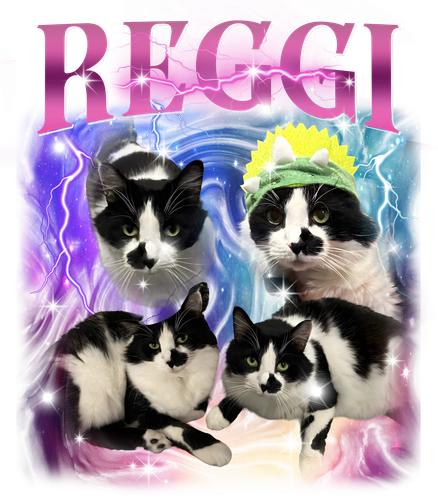 Reggi.png