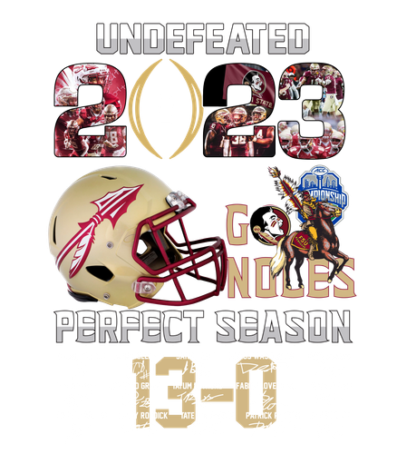 TD U2023FS S.png