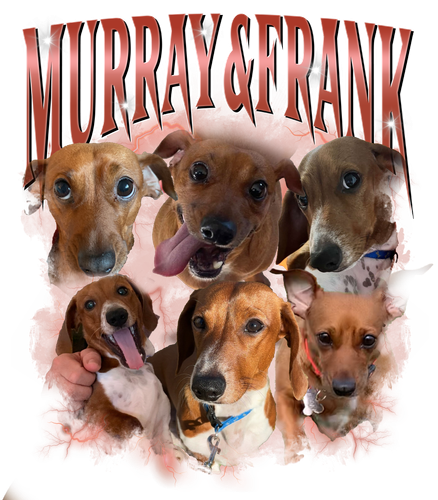 MURRAY.png