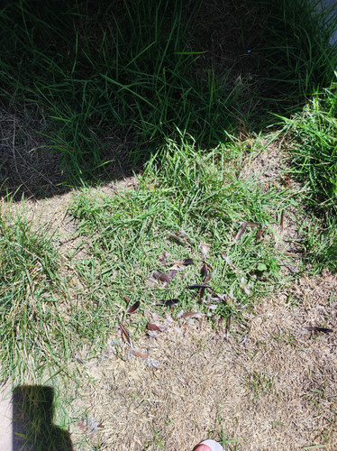 IMG 20231207 125144.jpg