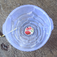 541c32559ae9.png