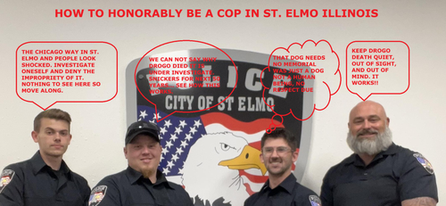 st.elmoillinoiscopsdrogo.png