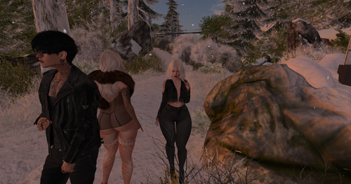 Snapshot 004.png