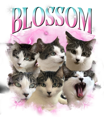 blossom.png