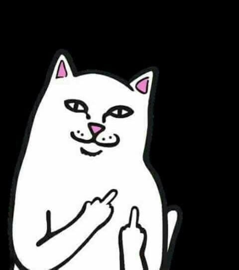 undefined.jpg