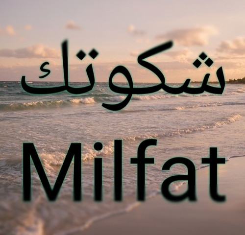 IMG ٢٠٢٣١٢١٤ ٠٥٣٠٣٥.jpg