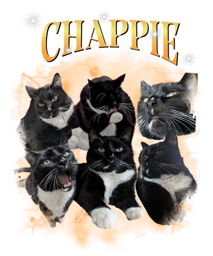 chappie.png