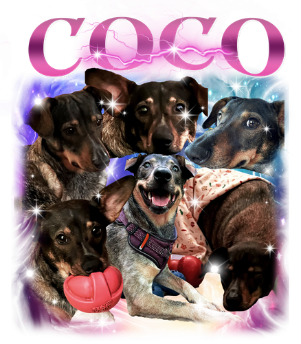 COCO.png