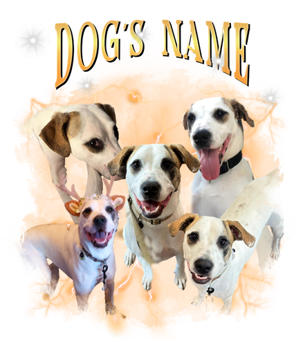 dog's name.png