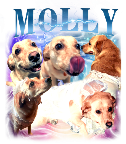 molly.png