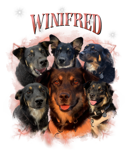 winifred.png