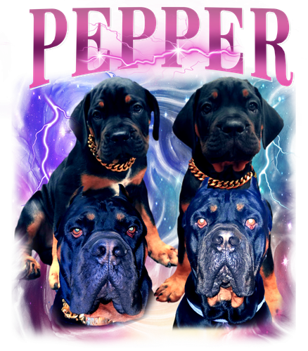pepper.png