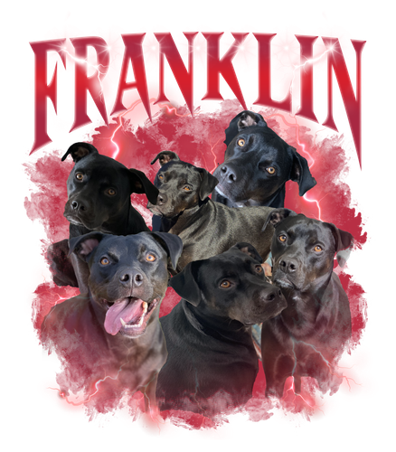 Franklin.png