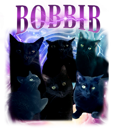 bobbib.png