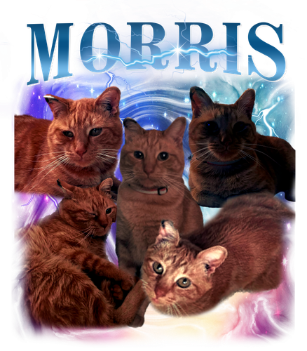 morris.png