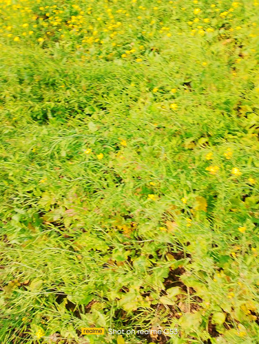 IMG 20231215 132900.jpg