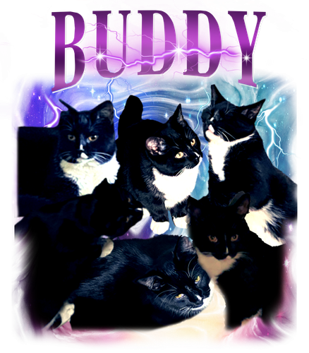 buddy.png