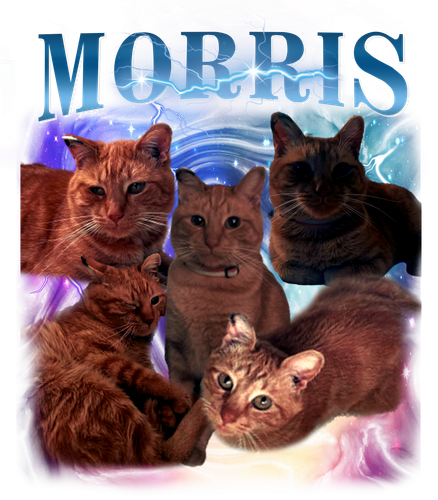 morris.png