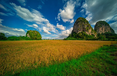 360 F 486480858 XSTifn2vSaU3jGHsDFC8mMALV5UDmQSr.jpg