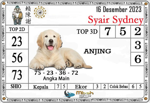 syair sdy sabtu 16 desember 2023 44.jpg