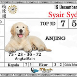 syair sdy sabtu 16 desember 2023 44