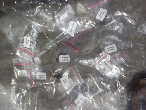 WhatsApp Image 2023 12 15 at 22.50.05 (3).jpg