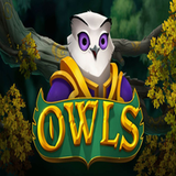 owls000000000000
