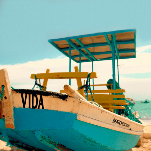 VIDA DIGITALPLATFORMSCOVER.png