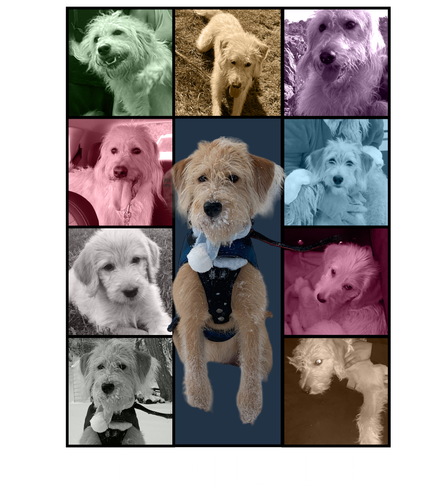 The Scarlett Era (4200x4800).png