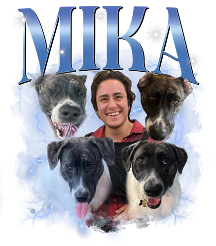 3121322409 fix 2.png