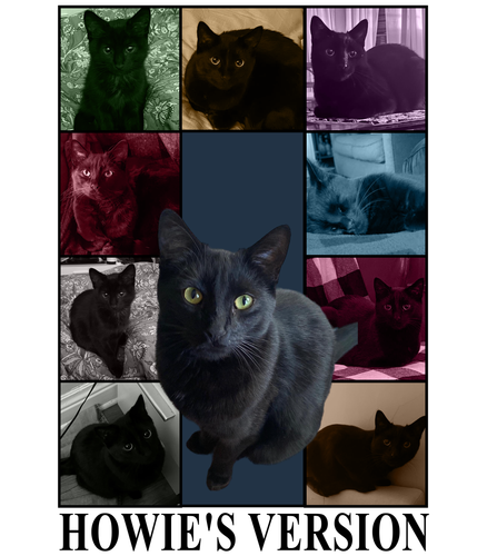 HOWIE'S VERSION (4200x4800).png