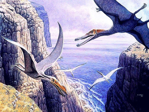 dino 07.jpg