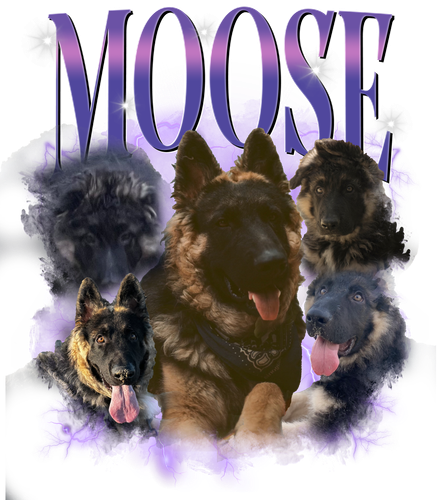 moose.png