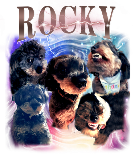 rocky.png