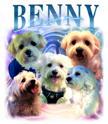 benny.png
