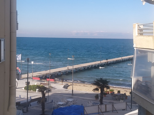 IMG 20231217 105155 1.jpg