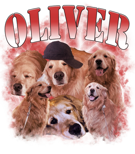 oliver3139376051.png